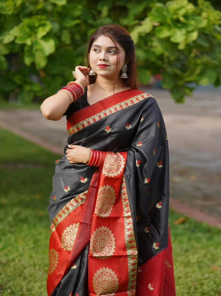 Traditional Indian Silk Saree