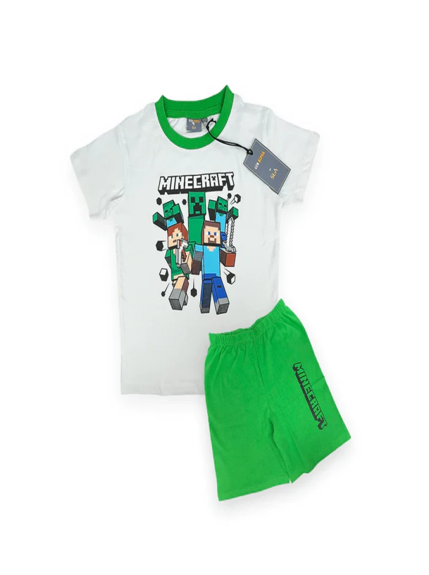 Minecraft Casual Wear Set