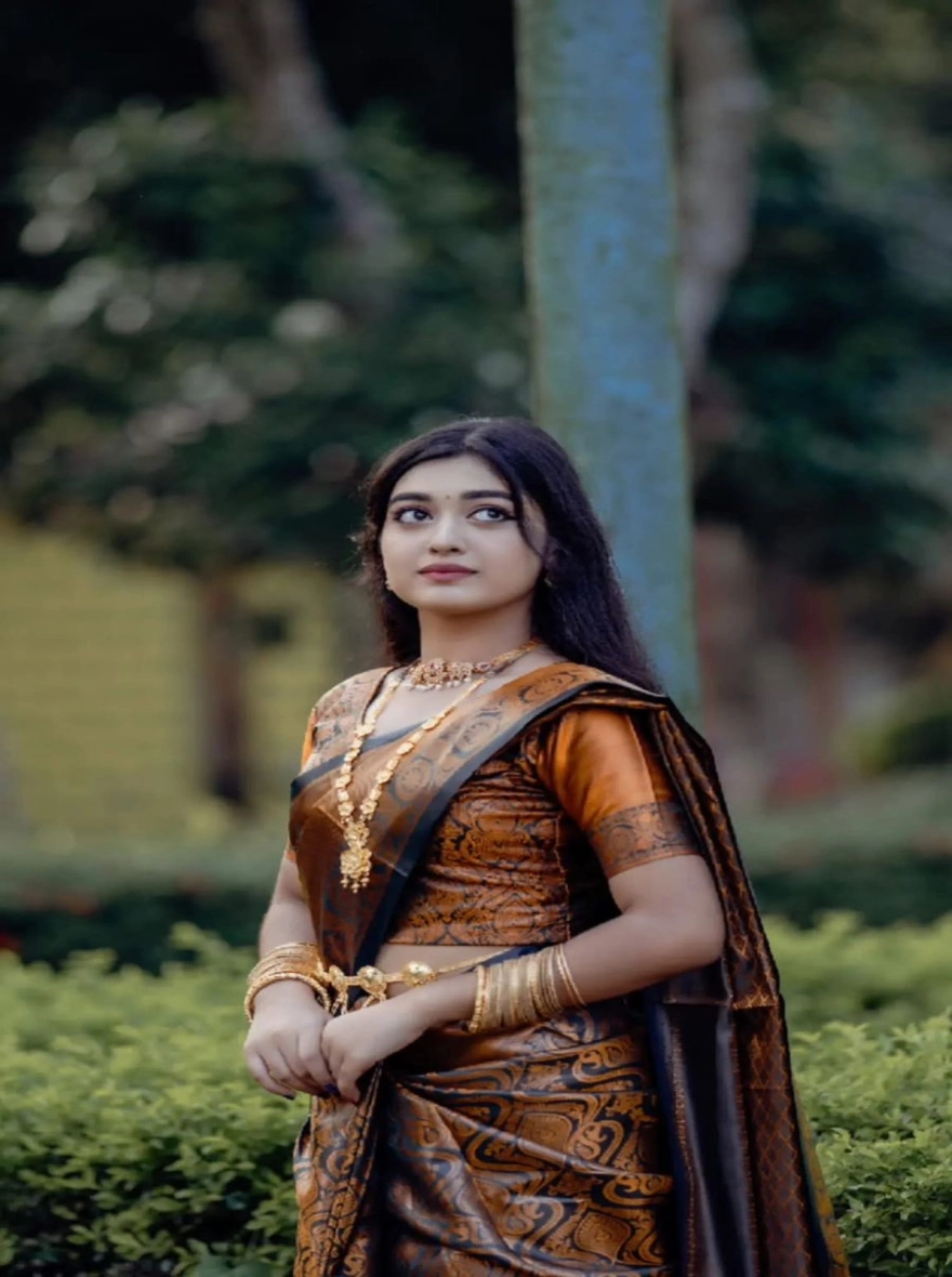 Women's Soft Silk Kanjivaram Katan Saree - Elegant Multi-Color Festive Wear