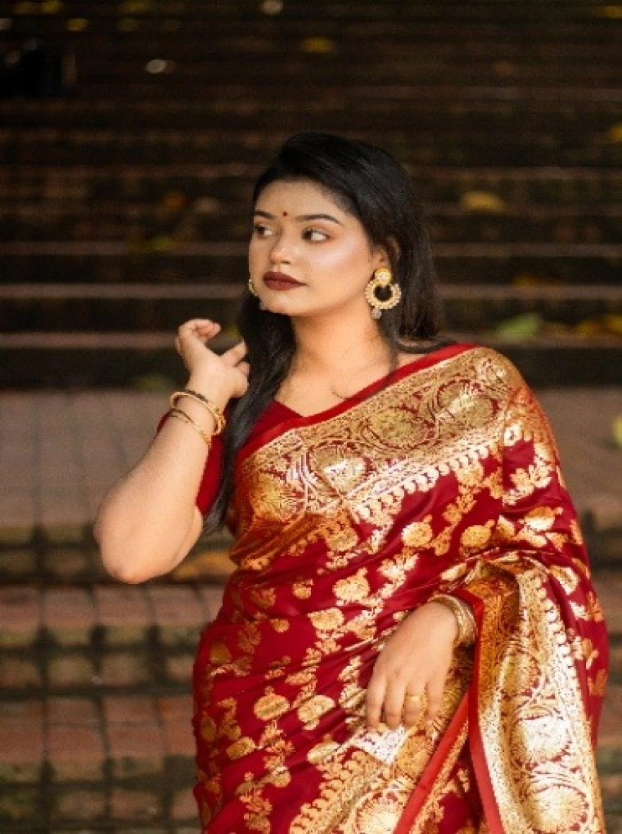 Bodhuwa Elegance Saree