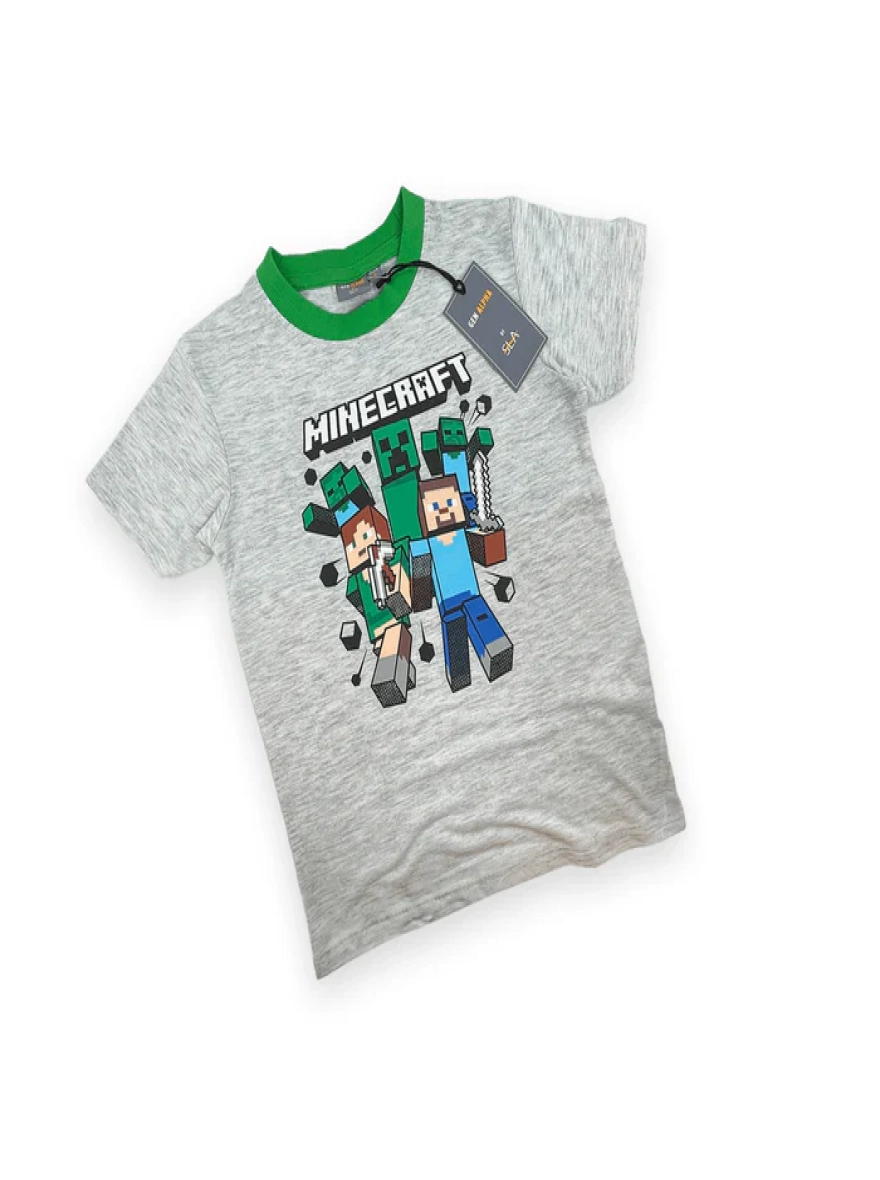 Minecraft Casual Wear Set