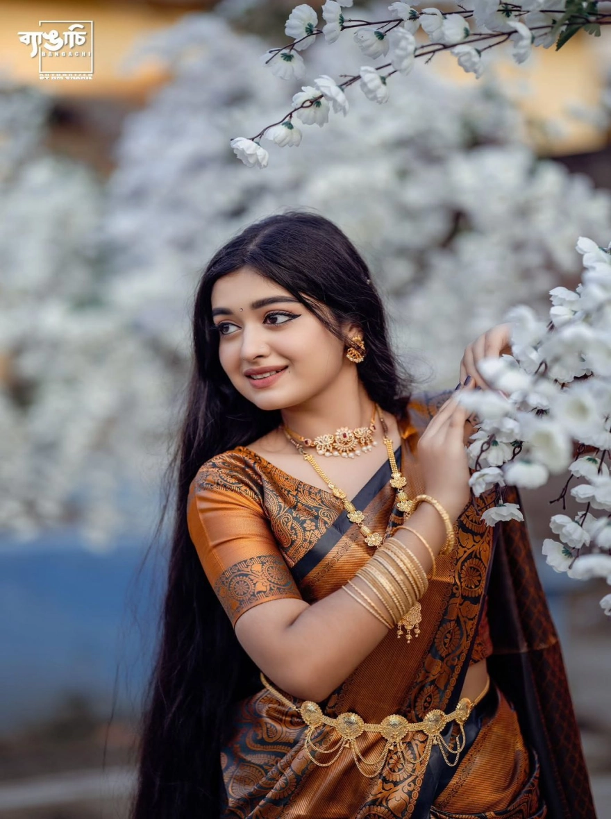 Women's Soft Silk Kanjivaram Katan Saree - Elegant Multi-Color Festive Wear