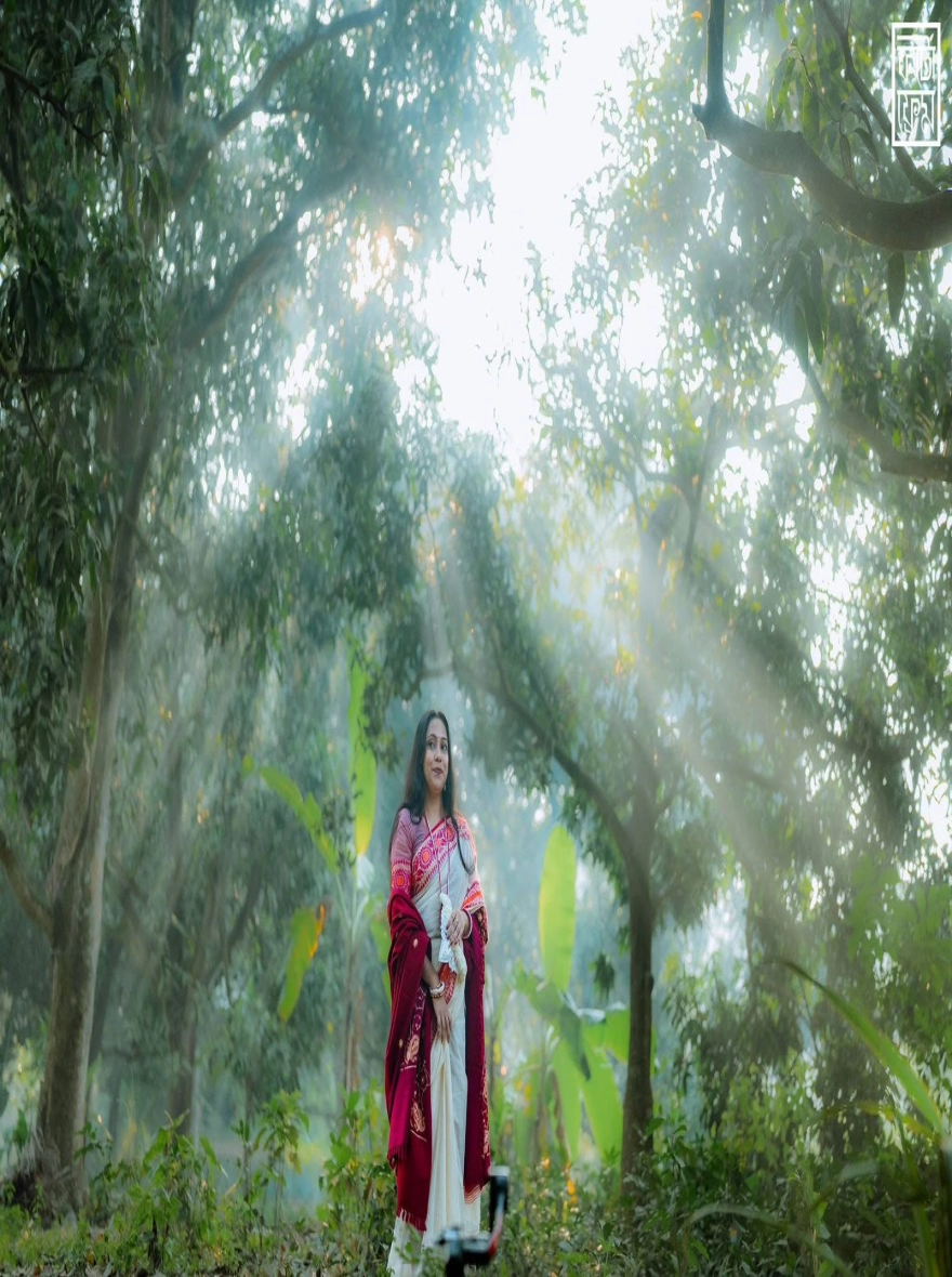 Women's Falguni Special Half Silk Saree – Vibrant Yellow & Purple Celebration Edition