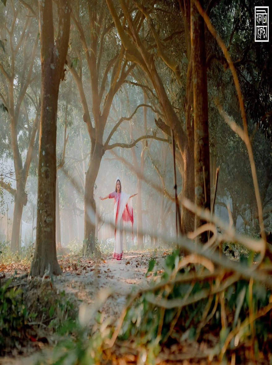 Women's Falguni Special Half Silk Saree – Vibrant Yellow & Purple Celebration Edition