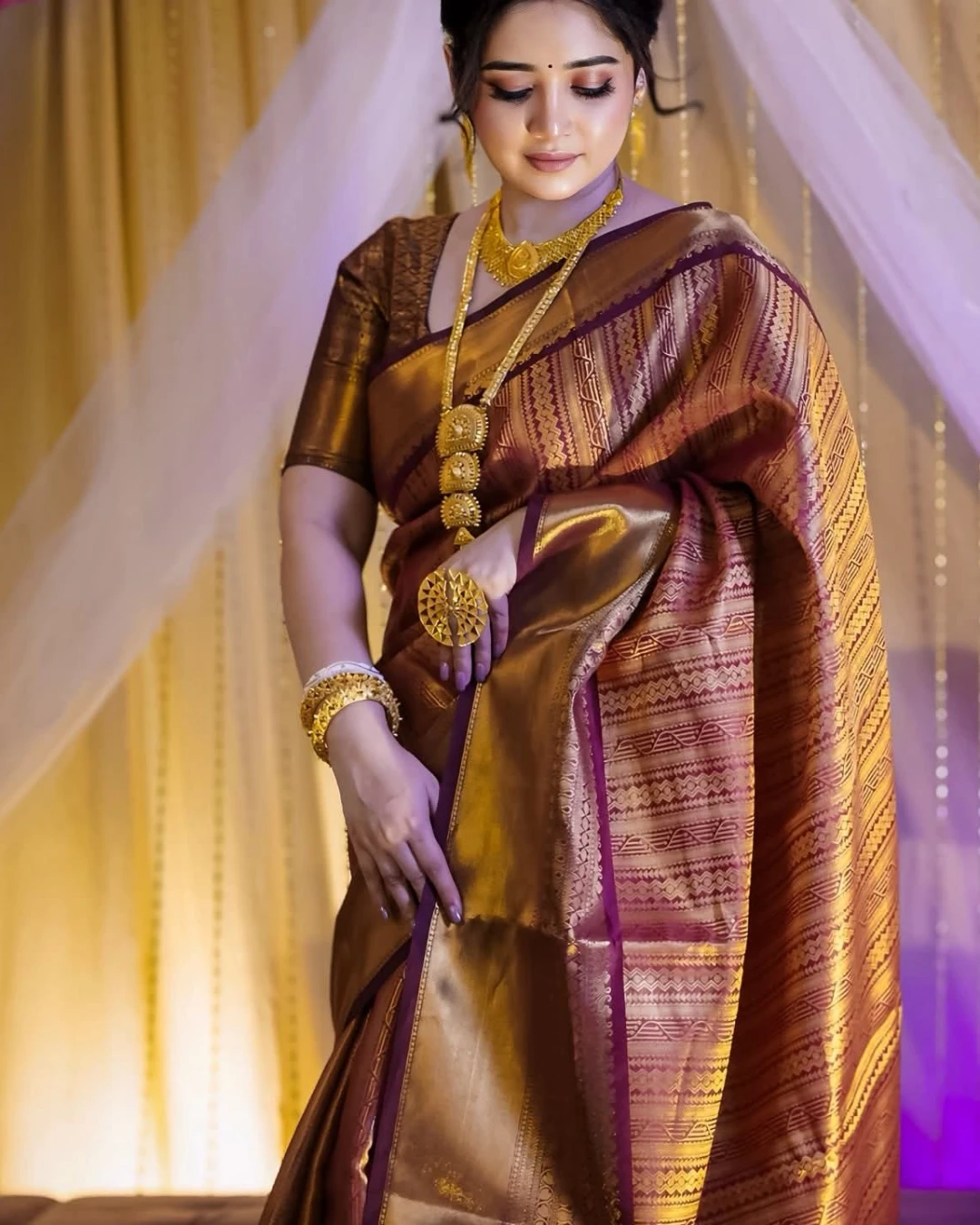 Kanchipuram katan saree কাঞ্জিপুরাম কাতান শাড়ী